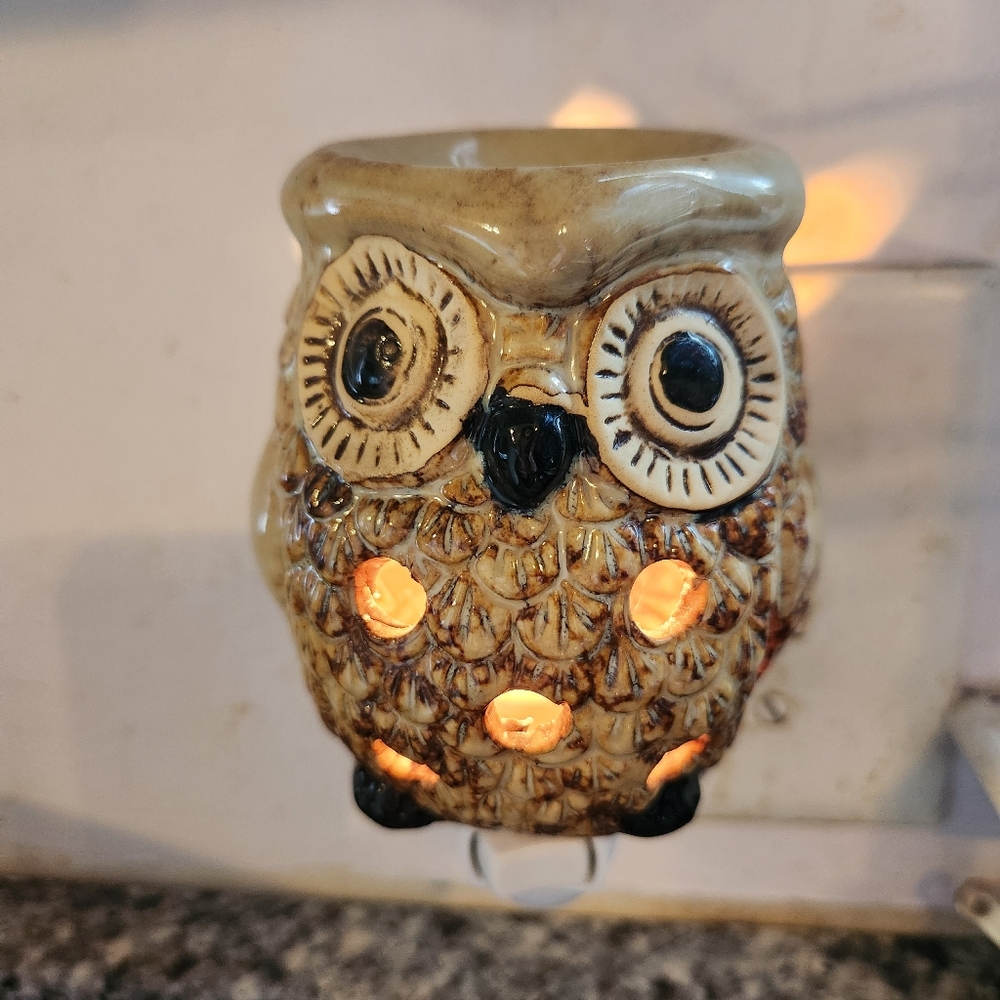 Candle Warmers, Etc. Brown Tan Black Ceramic Owl Plug Night Light Wax Warmer